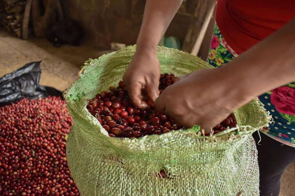 El Salvador: Sabores, Leyendas y Paisajes (5 Días)