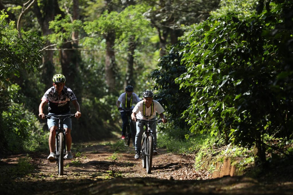 Tour en Bicicleta por los Cafetales: Juayúa y Apaneca