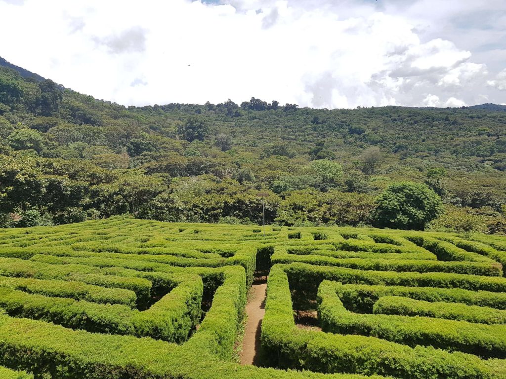 El Salvador a tu Estilo (4 Días / 3 Noches)