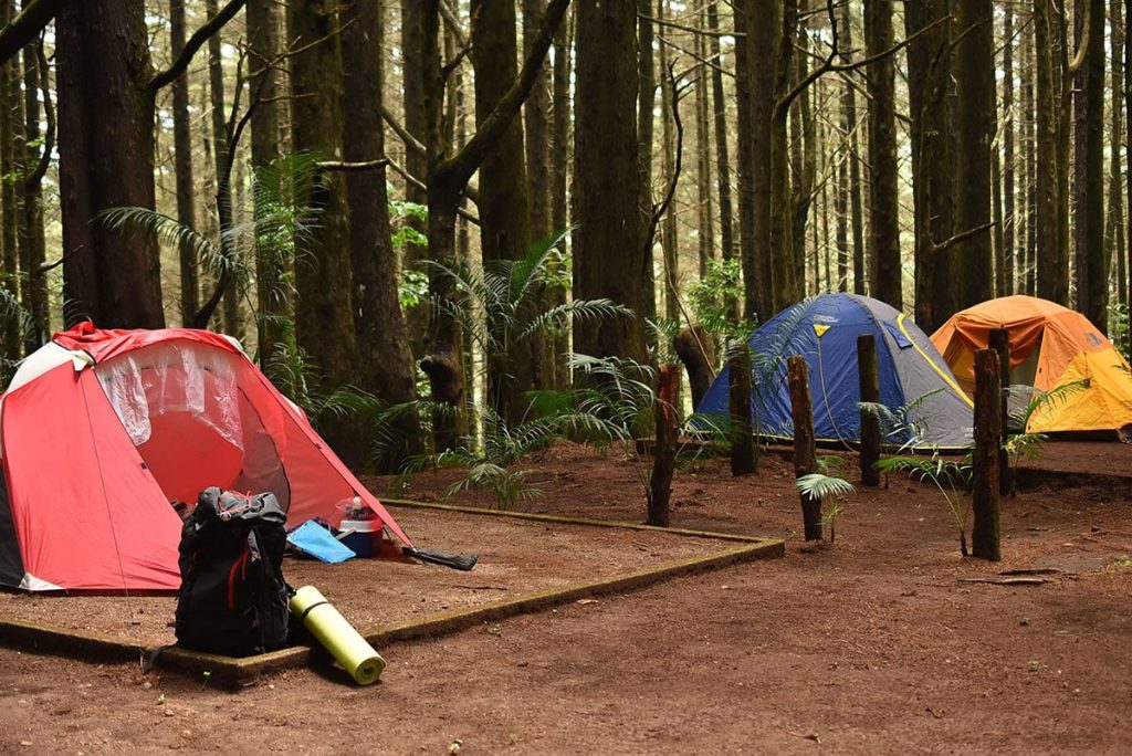 Tour al Parque Nacional El Imposible