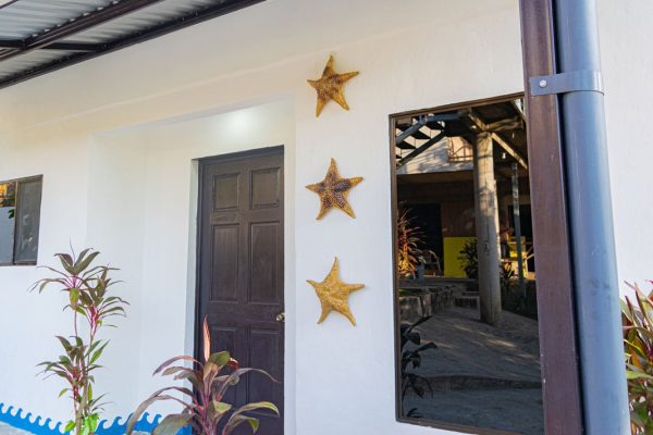 Pared blanca con adornos de estrellas de mar en decoración costera cerca de la playa.