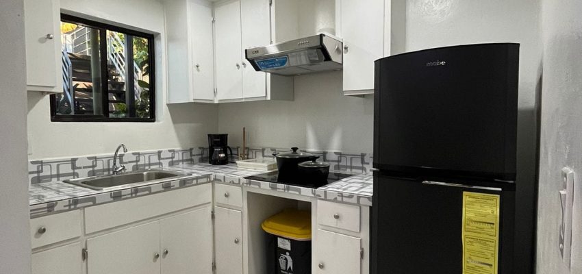 Electrodomésticos de cocina en cocina moderna, vista desde la esquina.