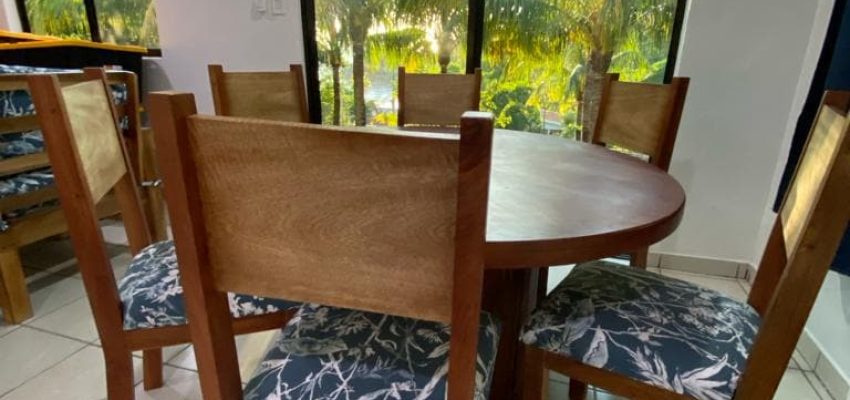 Mesa de comedor de madera con sillas tapizadas, ambiente luminoso y vista a palmeras tropicales desde la ventana.